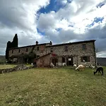 Maridiana Alpaca * Umbertide