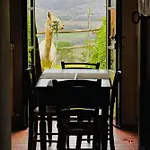 Maridiana Alpaca