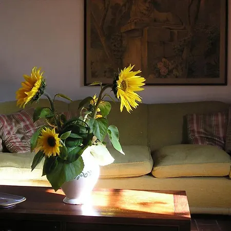 Maridiana Alpaca Umbertide