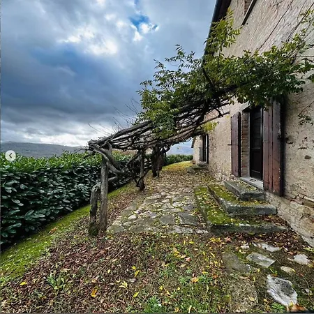 Maridiana Alpaca Vakantieboerderij Umbertide