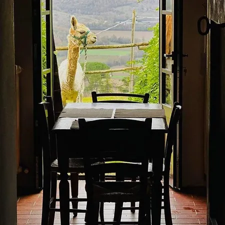 Maridiana Alpaca Feriegård *