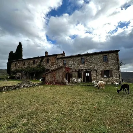 Maridiana Alpaca * Umbertide
