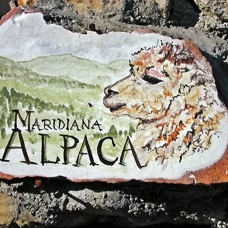 Feriegård Maridiana Alpaca Umbertide