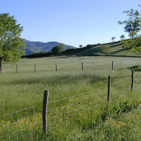 Maridiana Alpaca Vakantieboerderij