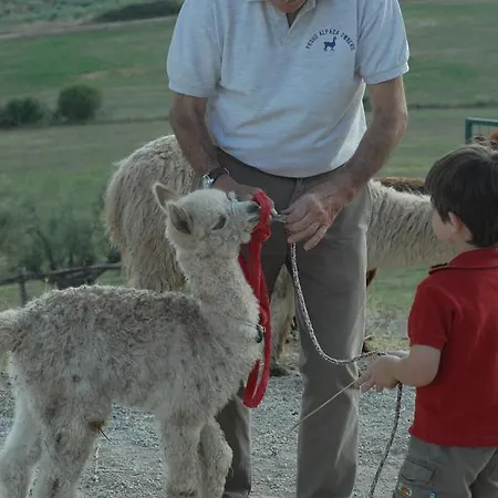 Maridiana Alpaca Farma